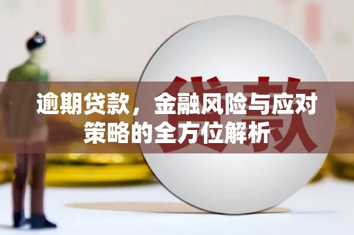 巴塘逾期贷款，金融风险与应对策略的全方位解析