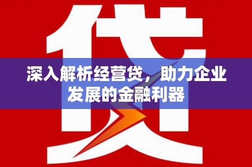 巴塘深入解析经营贷，助力企业发展的金融利器