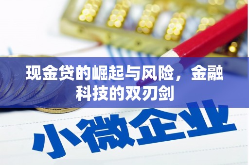 巴塘现金贷的崛起与风险，金融科技的双刃剑