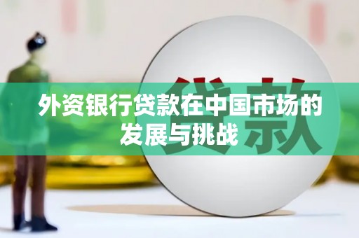 巴塘外资银行贷款在中国市场的发展与挑战