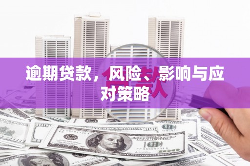 巴塘逾期贷款，风险、影响与应对策略