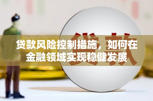 巴塘贷款风险控制措施，如何在金融领域实现稳健发展