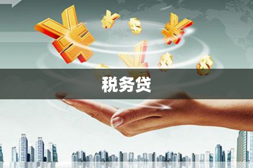 巴塘税务贷