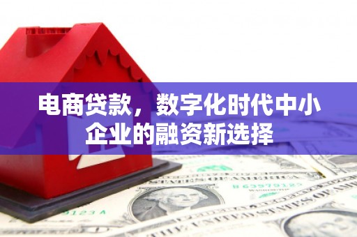 巴塘电商贷款，数字化时代中小企业的融资新选择