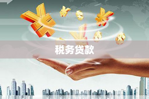 巴塘税务贷款