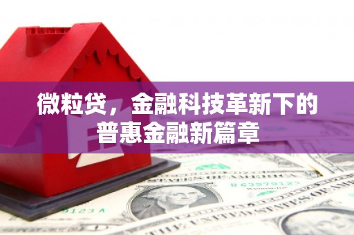 巴塘微粒贷，金融科技革新下的普惠金融新篇章