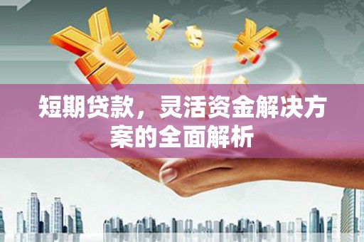 巴塘短期贷款，灵活资金解决方案的全面解析