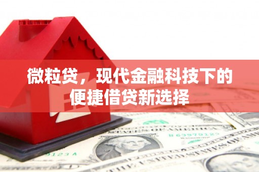 巴塘微粒贷，现代金融科技下的便捷借贷新选择