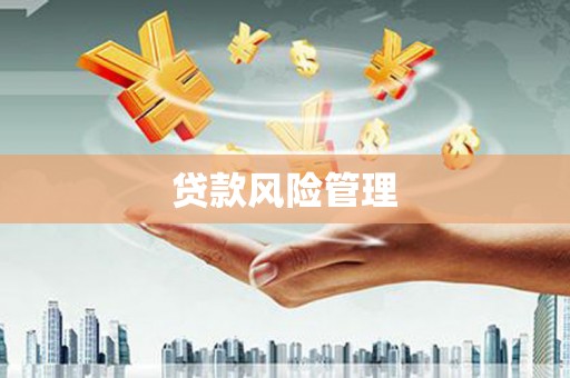 巴塘贷款风险管理