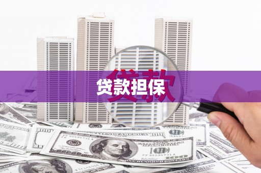 巴塘贷款担保