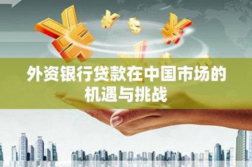 巴塘外资银行贷款在中国市场的机遇与挑战