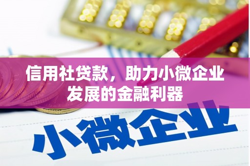 巴塘信用社贷款，助力小微企业发展的金融利器