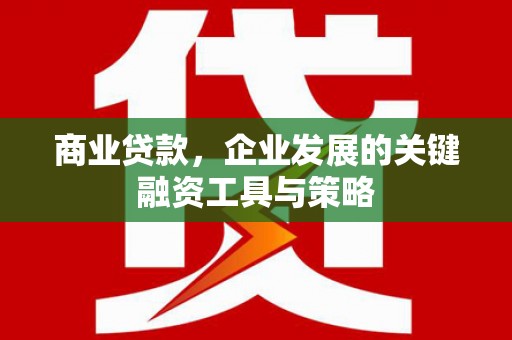 巴塘商业贷款，企业发展的关键融资工具与策略