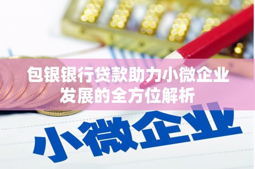 巴塘包银银行贷款助力小微企业发展的全方位解析