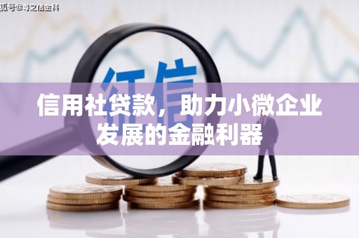 巴塘信用社贷款，助力小微企业发展的金融利器
