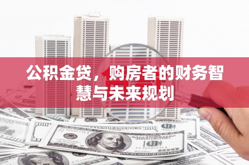 巴塘公积金贷，购房者的财务智慧与未来规划