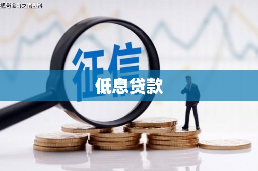 巴塘低息贷款