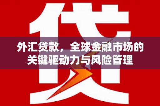 巴塘外汇贷款，全球金融市场的关键驱动力与风险管理