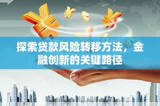 巴塘探索贷款风险转移方法，金融创新的关键路径