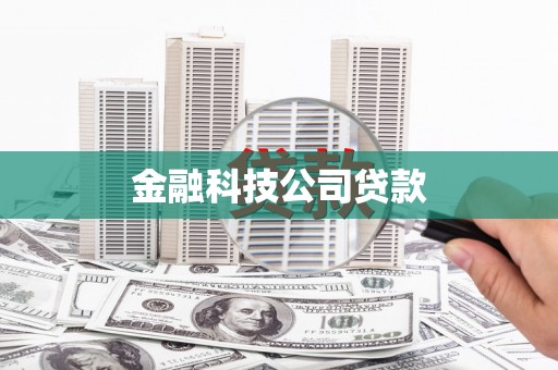 巴塘金融科技公司贷款