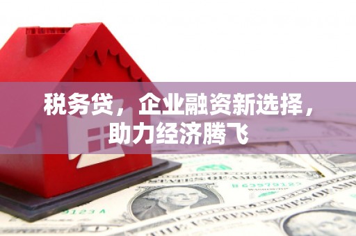 巴塘税务贷，企业融资新选择，助力经济腾飞