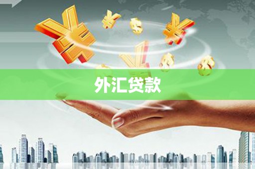 巴塘外汇贷款