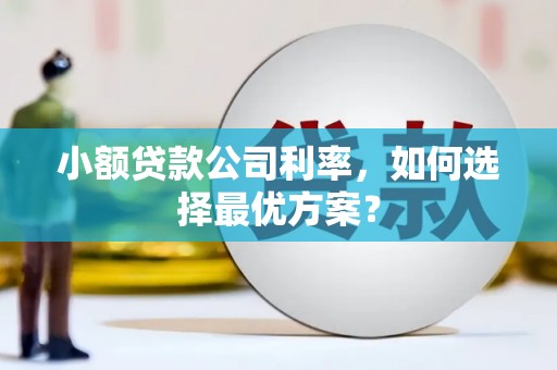 巴塘小额贷款公司利率，如何选择最优方案？