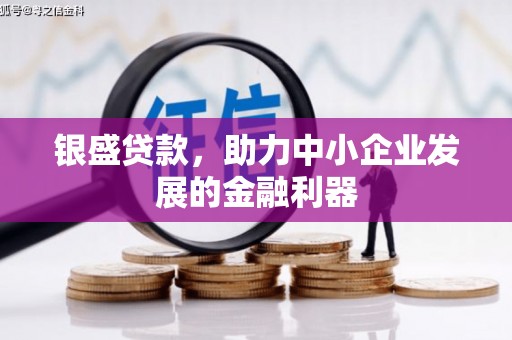 巴塘银盛贷款，助力中小企业发展的金融利器