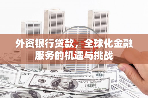 巴塘外资银行贷款，全球化金融服务的机遇与挑战