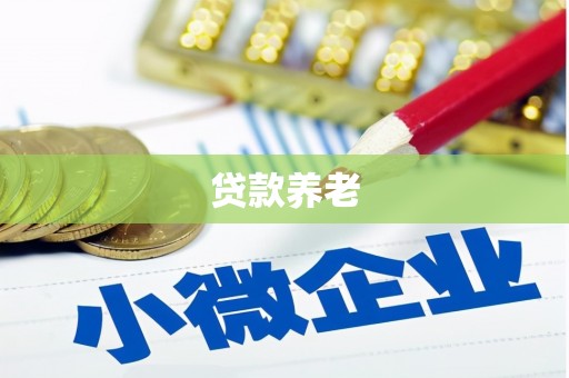 巴塘贷款养老