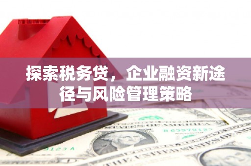 巴塘探索税务贷，企业融资新途径与风险管理策略