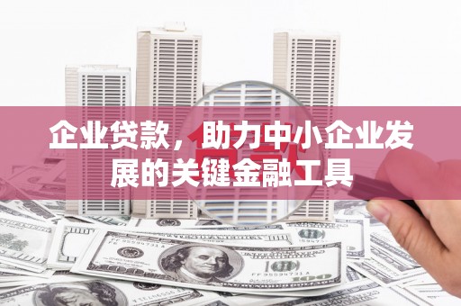 巴塘企业贷款，助力中小企业发展的关键金融工具