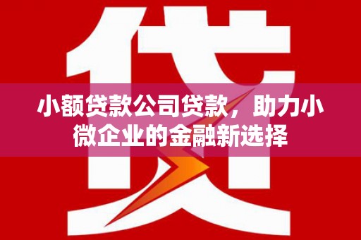 巴塘小额贷款公司贷款，助力小微企业的金融新选择
