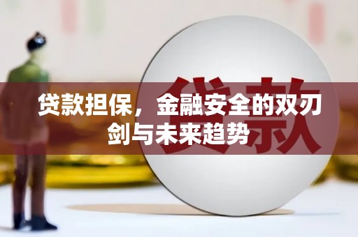 巴塘贷款担保，金融安全的双刃剑与未来趋势