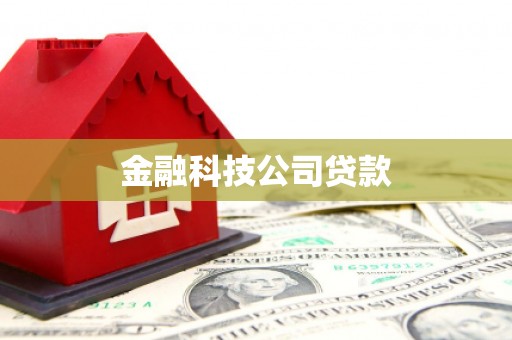 巴塘金融科技公司贷款