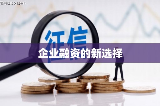 巴塘企业融资的新选择