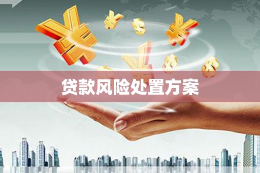 巴塘贷款风险处置方案