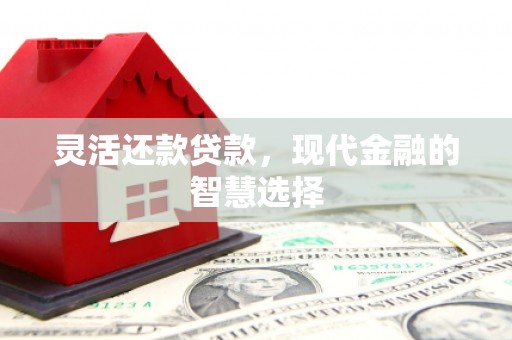 巴塘灵活还款贷款，现代金融的智慧选择