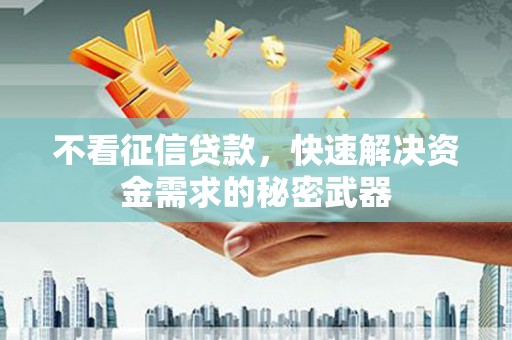 巴塘不看征信贷款，快速解决资金需求的秘密武器