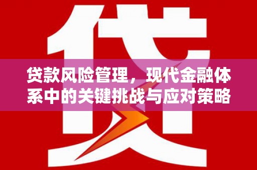巴塘贷款风险管理，现代金融体系中的关键挑战与应对策略