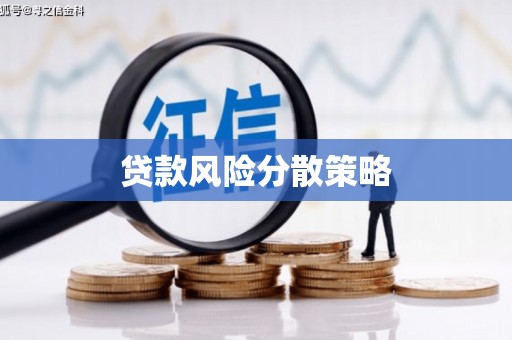 巴塘贷款风险分散策略