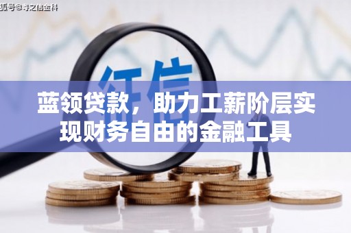 巴塘蓝领贷款，助力工薪阶层实现财务自由的金融工具