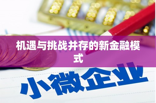 巴塘机遇与挑战并存的新金融模式