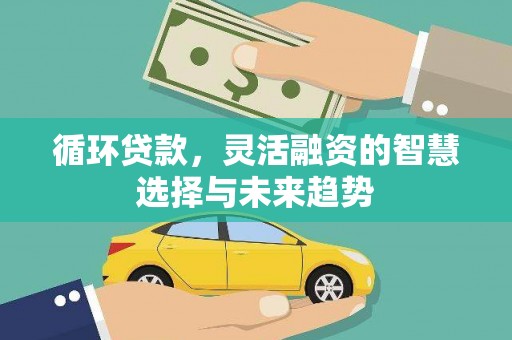 巴塘循环贷款，灵活融资的智慧选择与未来趋势