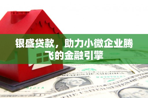 巴塘银盛贷款，助力小微企业腾飞的金融引擎