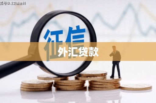巴塘外汇贷款