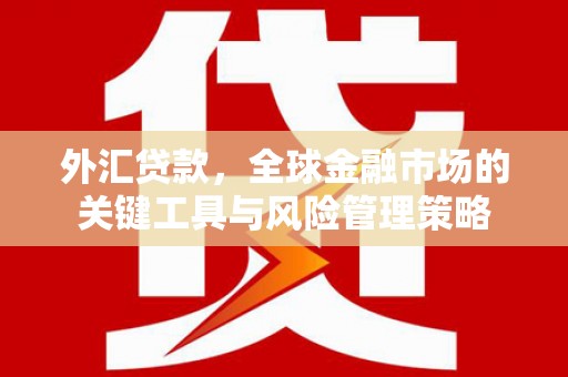 巴塘外汇贷款，全球金融市场的关键工具与风险管理策略