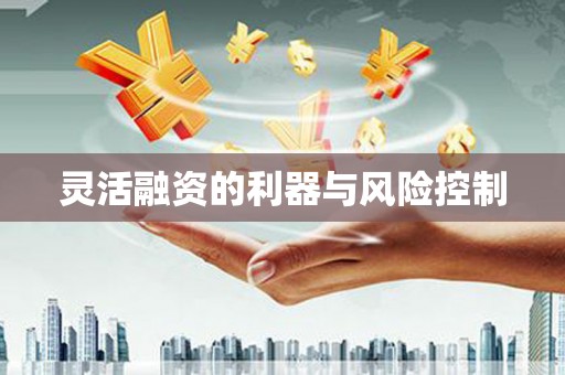 巴塘灵活融资的利器与风险控制