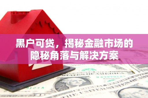 巴塘黑户可贷，揭秘金融市场的隐秘角落与解决方案