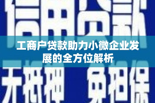 巴塘工商户贷款助力小微企业发展的全方位解析